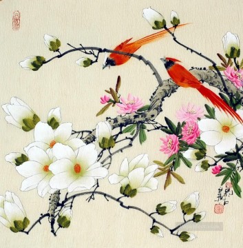  chino Obras - Loro de flor de pájaro chino